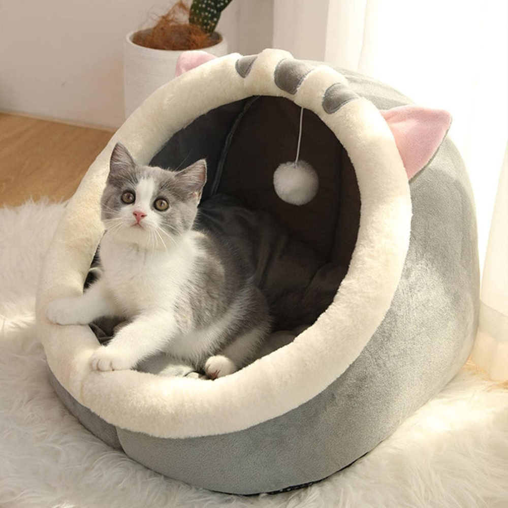 Pet Bedding