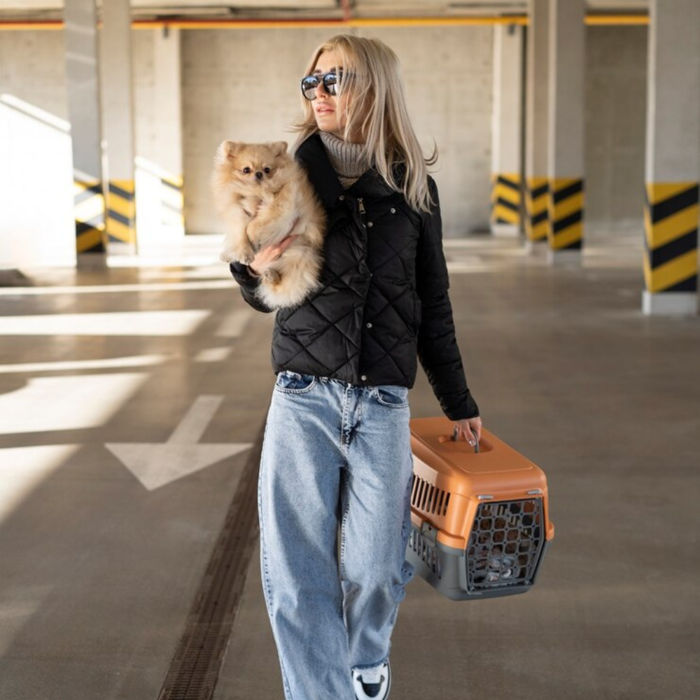 Pet Carriers and Travel Accessories