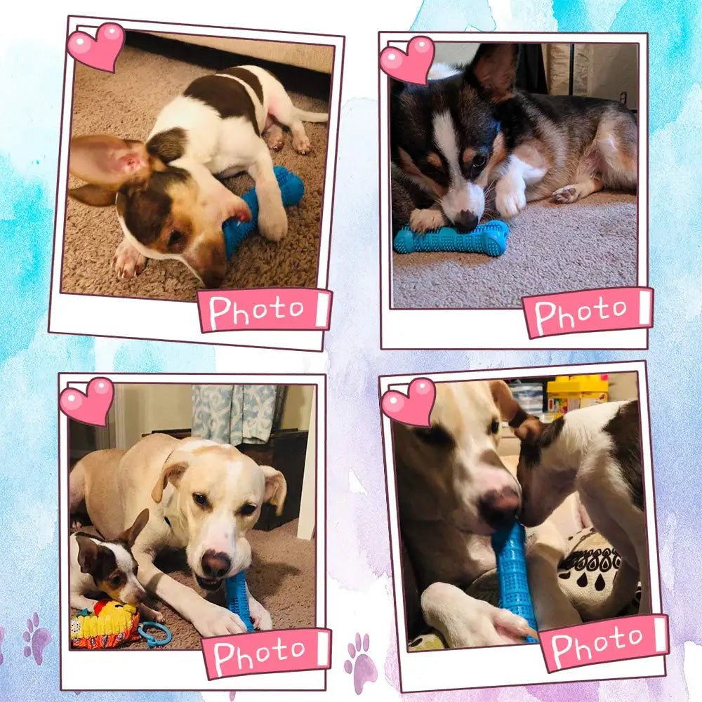 360° Soft Rubber Dog Toothbrush Chew Toy – for Small Dogs