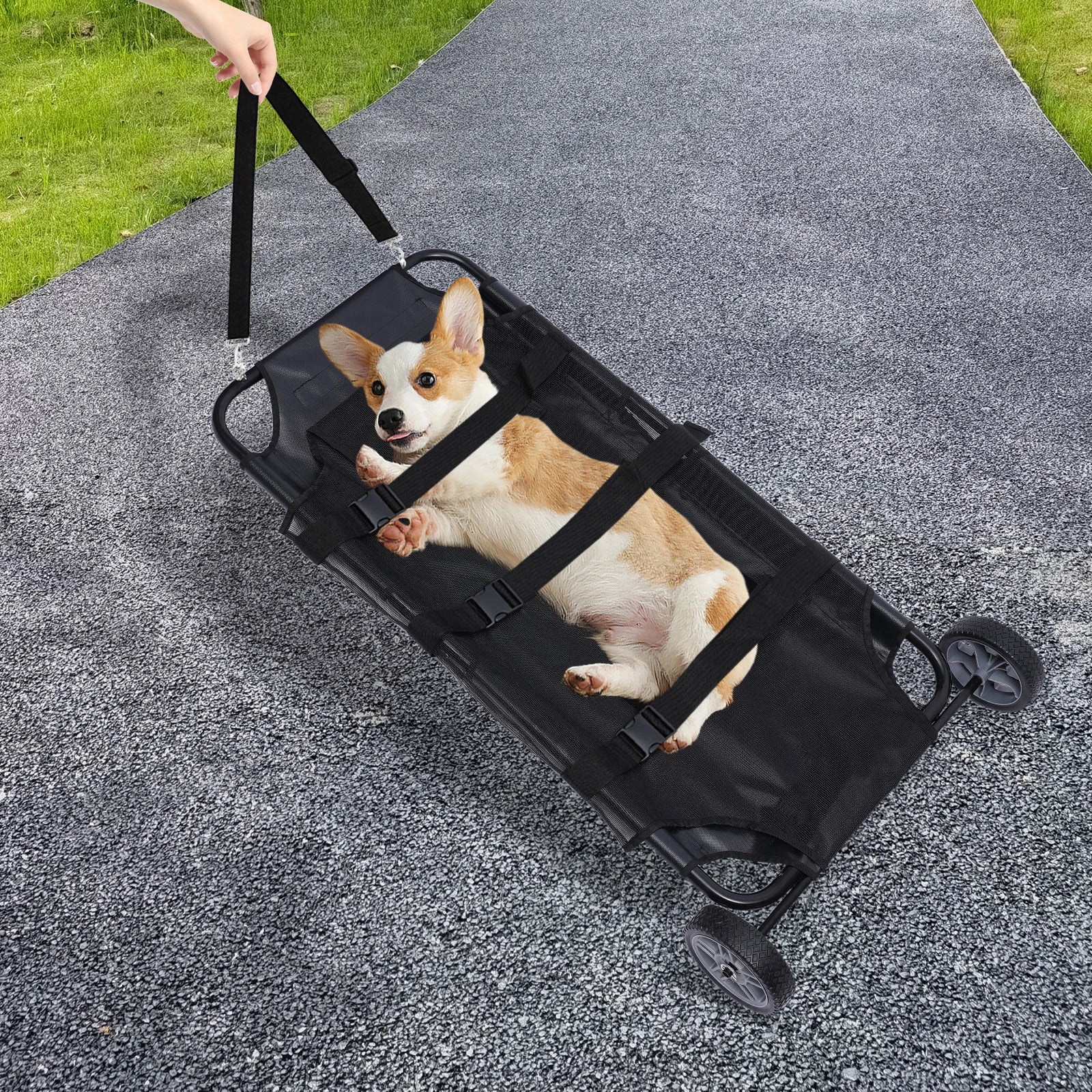 Foldable Pet Stretcher Trolley with Strap