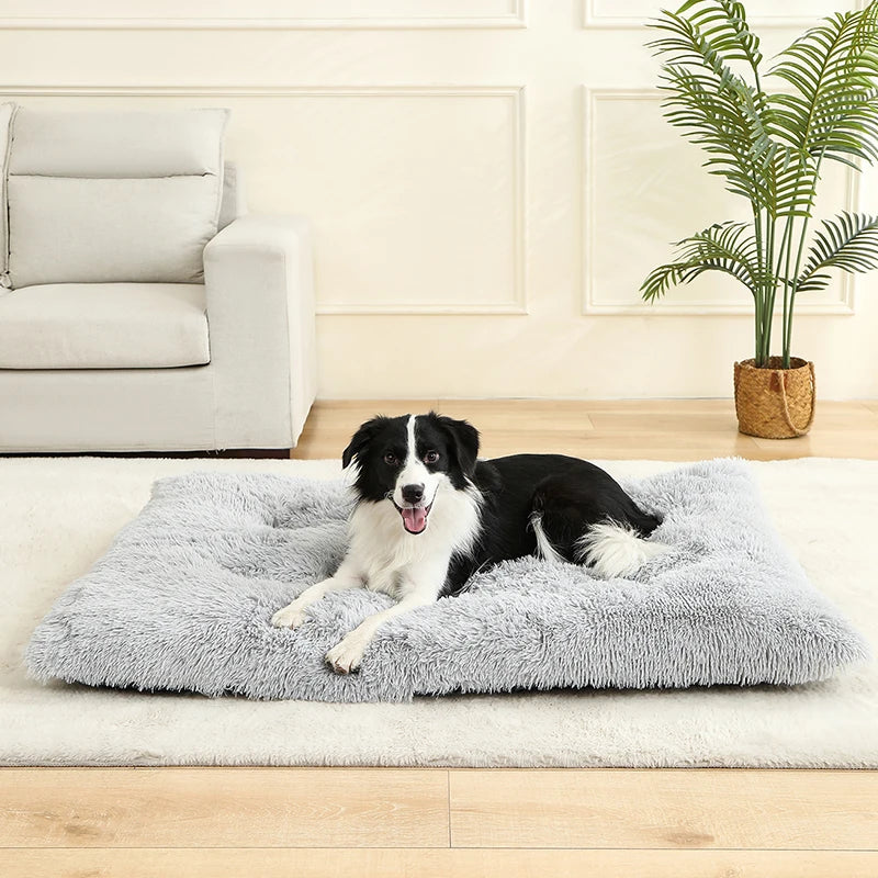 Soft Plush Dog & Cat Bed Cushion