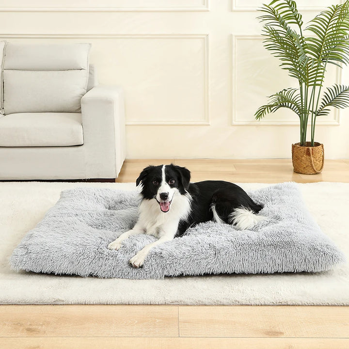 Soft Plush Dog & Cat Bed Cushion