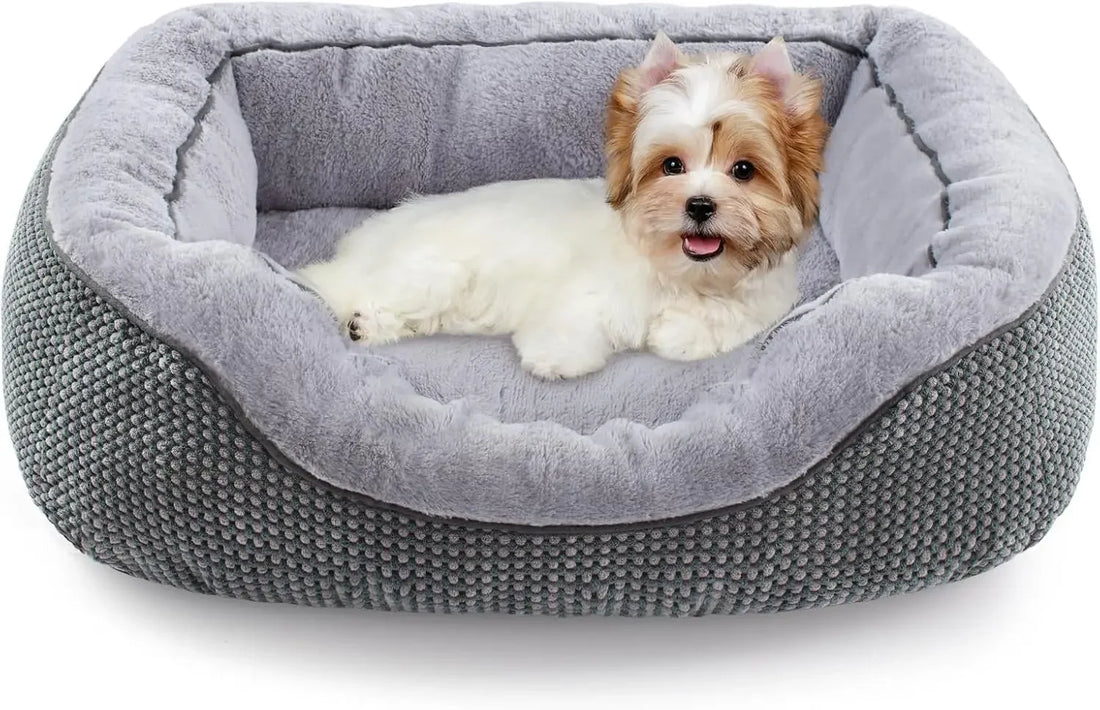 Medium Orthopedic Washable Dog Bed – Rectangle