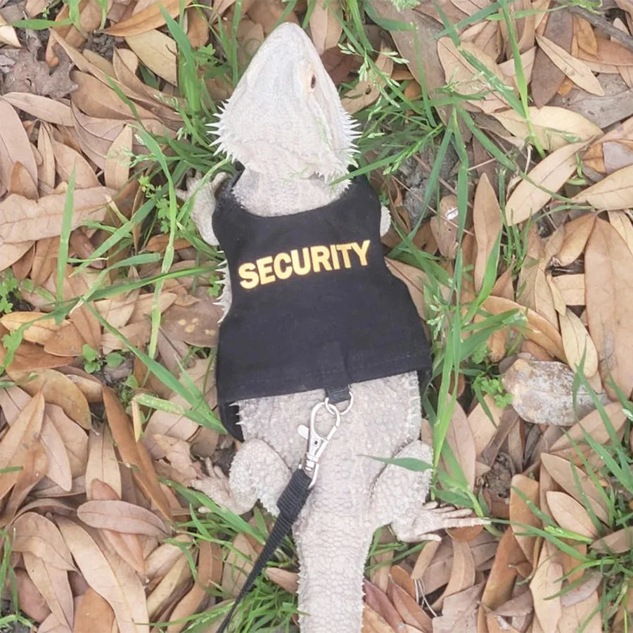 Lizard Harness with Dragon Wings – Soft Padded Reptile Vest