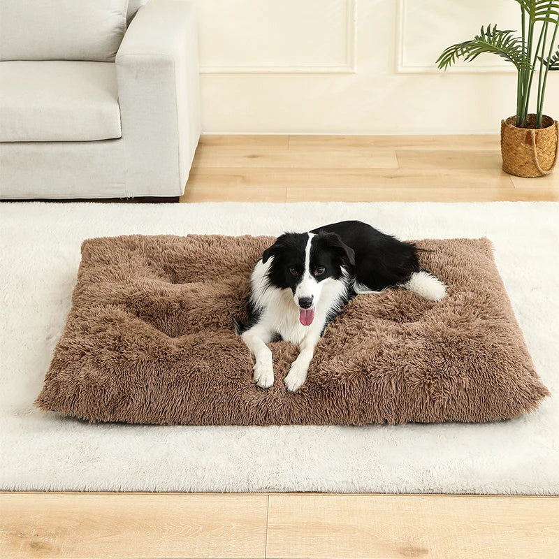 Soft Plush Dog & Cat Bed Cushion