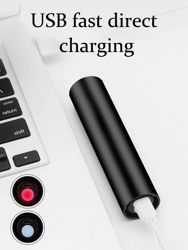 UV Pet Detection Light – Waterproof & USB Rechargeable