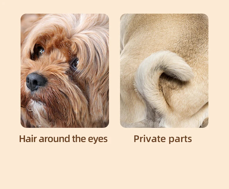 Electric Pet Groomer Trimmer – LED & Low Noise Design