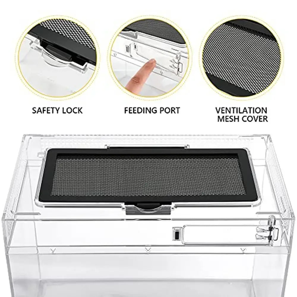 Reptile Terrarium PC Tank Starter Kit 15.6"x8"x10"