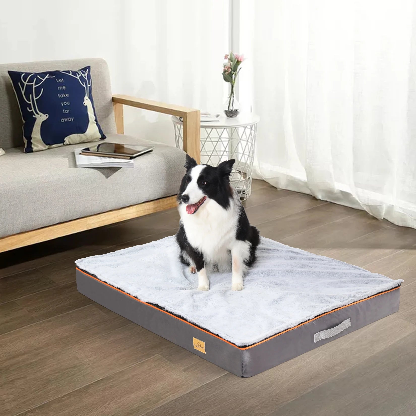 Large Orthopedic Foam Dog Bed with Washable Cover