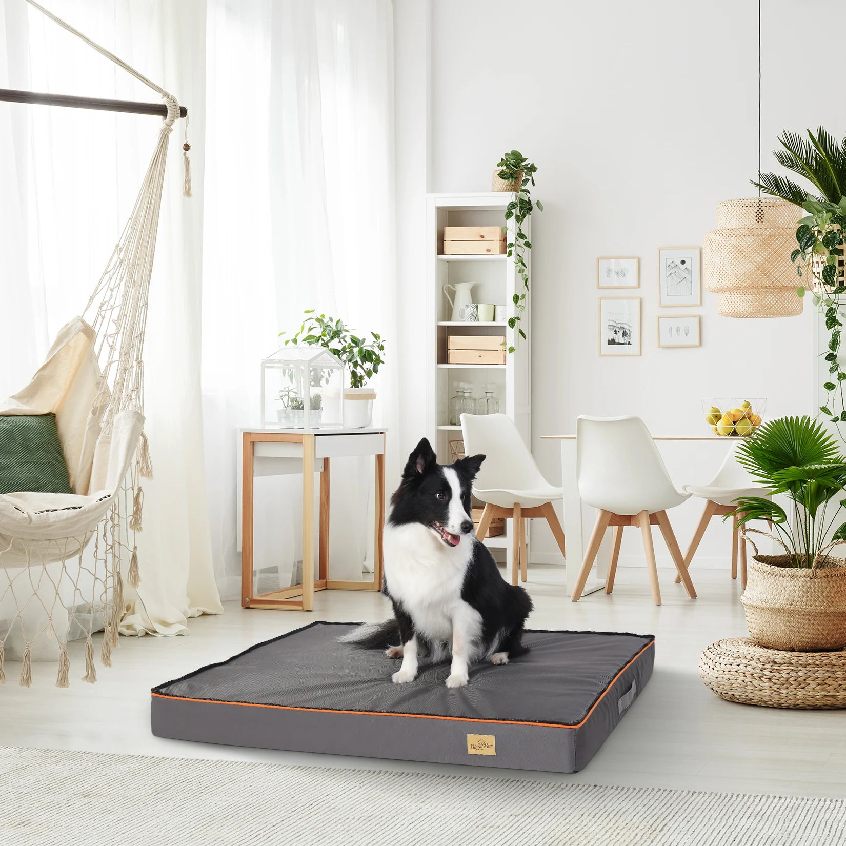 Large Orthopedic Foam Dog Bed with Washable Cover