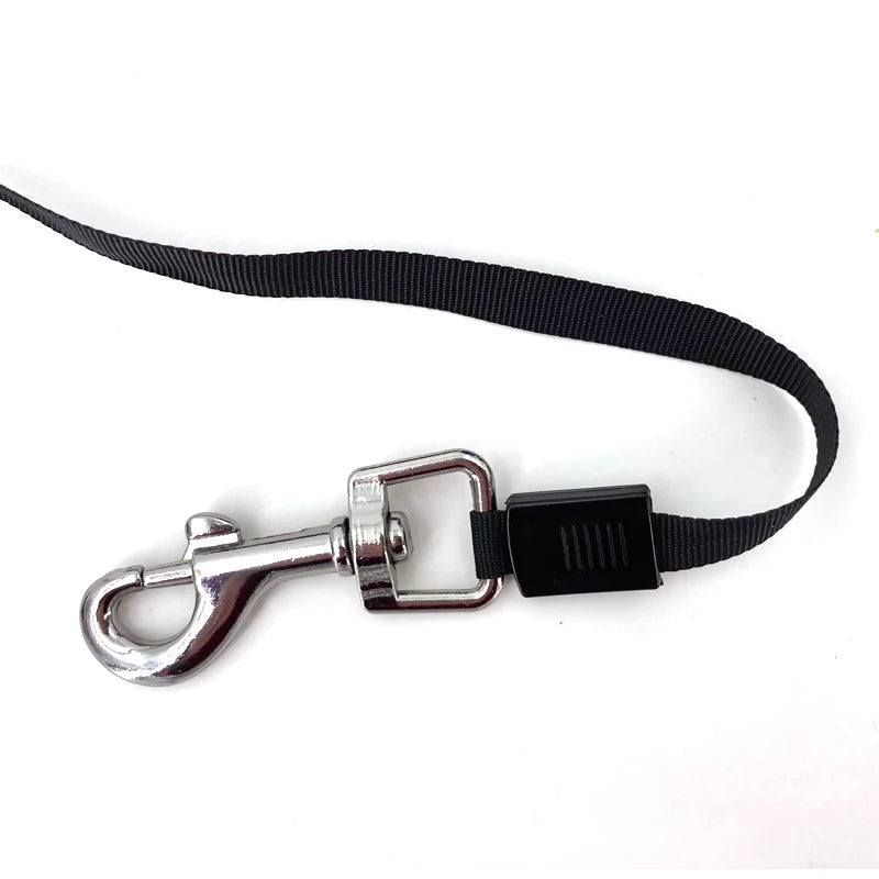 Retractable Dog Leash – 3M/5M