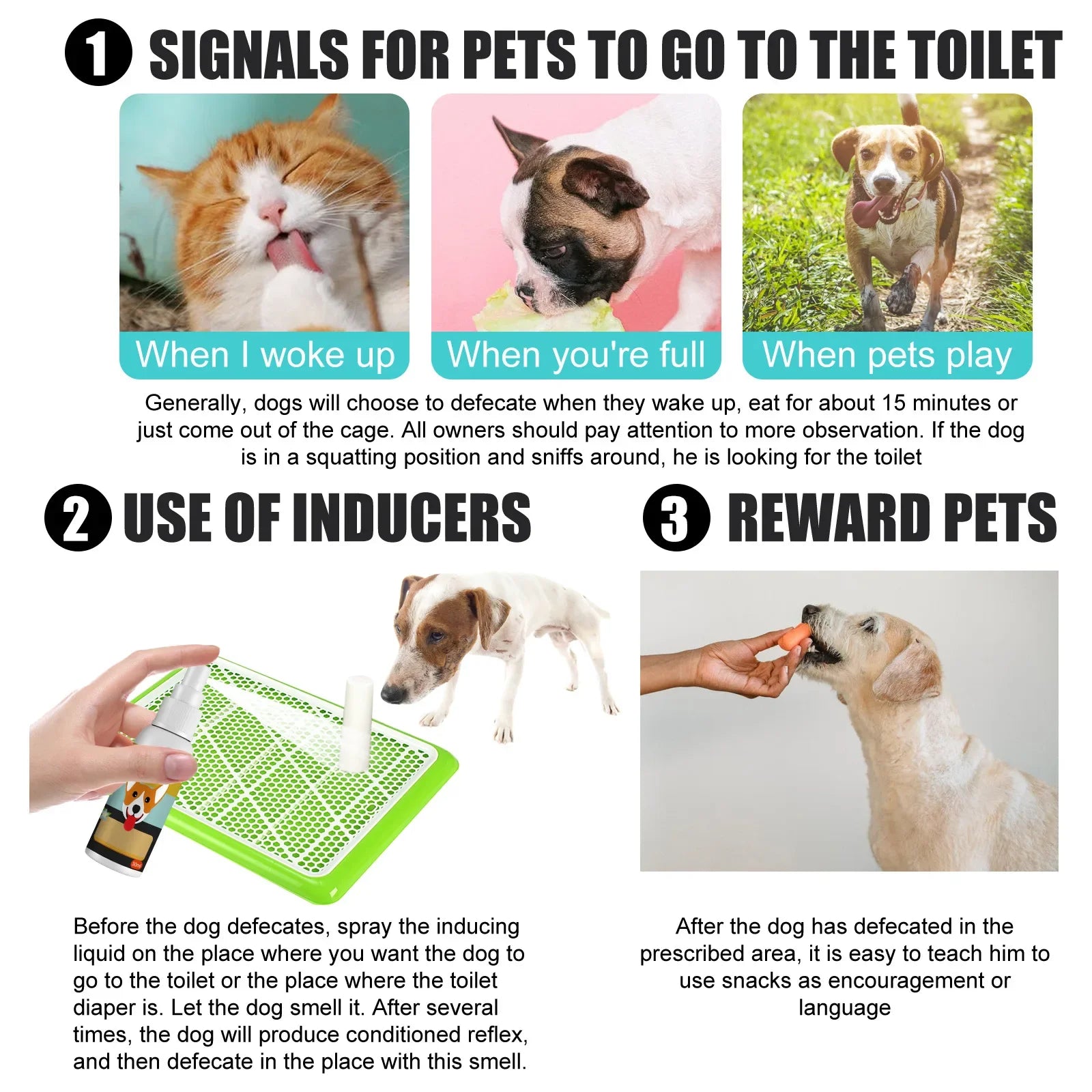 Dog & Cat Potty Training Spray – Urine & Stool Trainer