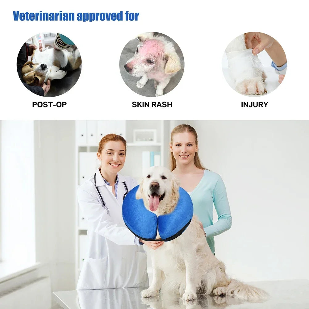 Inflatable Dog Recovery Collar – Soft Protective Cone