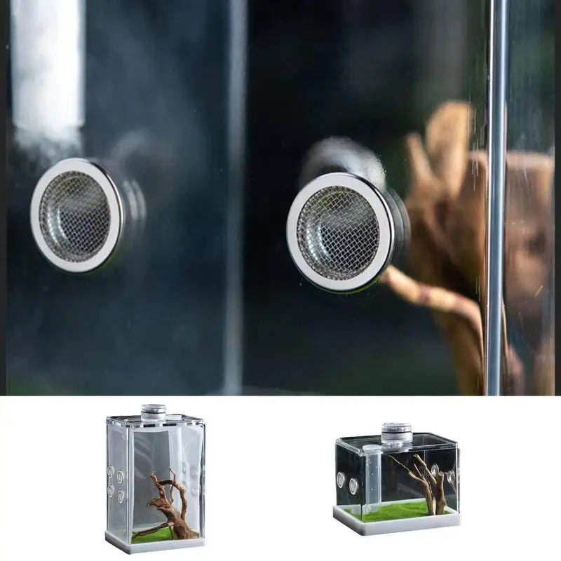 Reptile Hatching & Feeding Box Enclosure