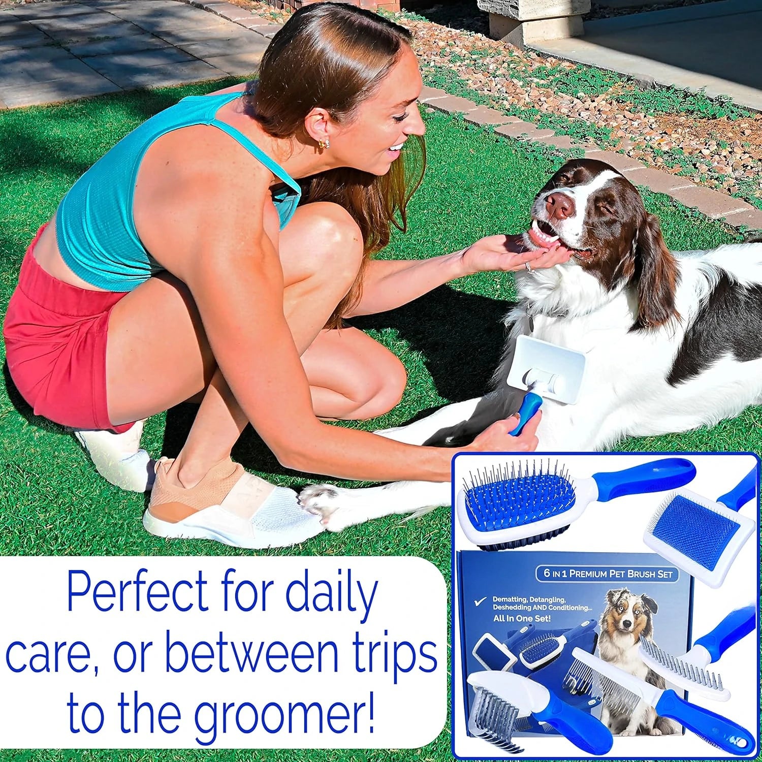 Premium Dog Grooming Brush Set