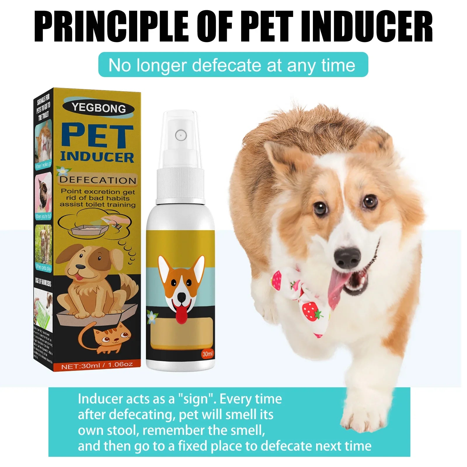 Dog & Cat Potty Training Spray – Urine & Stool Trainer