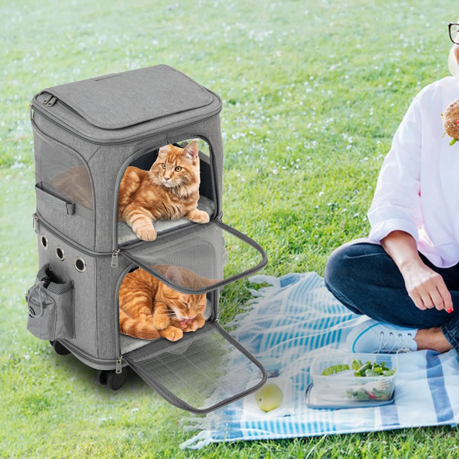 Double-Compartment Rolling Cat Carrier with Wheels