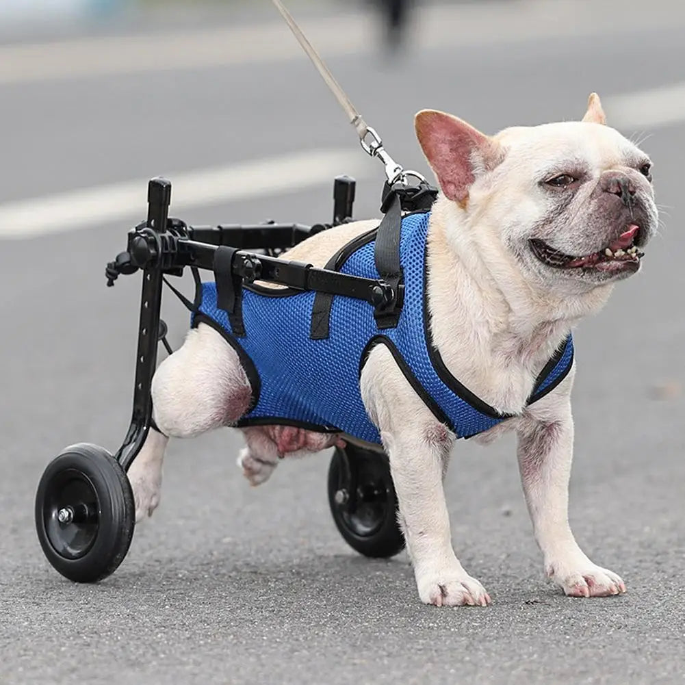Adjustable Pet Wheelchair – Hind Leg Mobility Aid