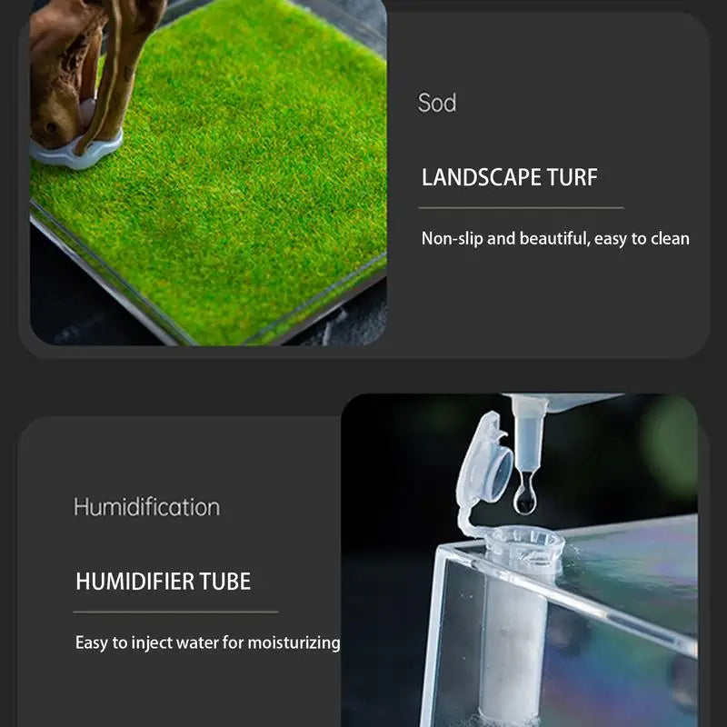 Reptile Hatching & Feeding Box Enclosure