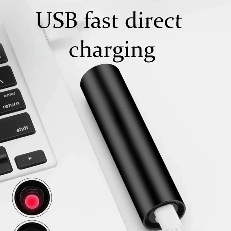 UV Pet Detection Light – Waterproof & USB Rechargeable