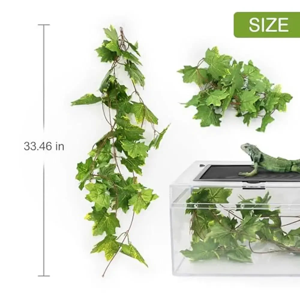 Unbreakable PC Reptile Terrarium Starter Kit