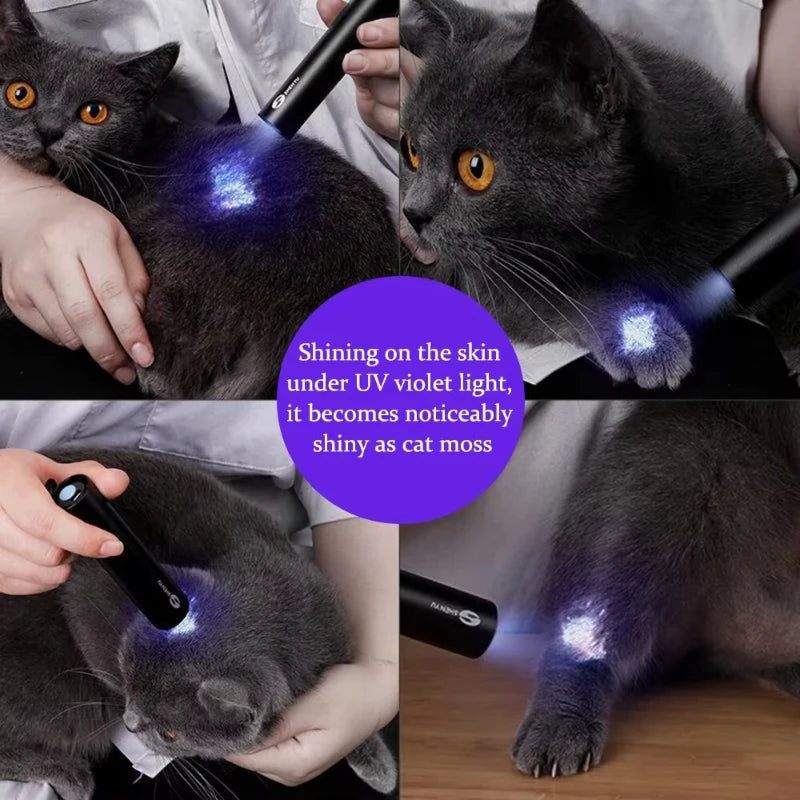 UV Pet Detection Light – Waterproof & USB Rechargeable