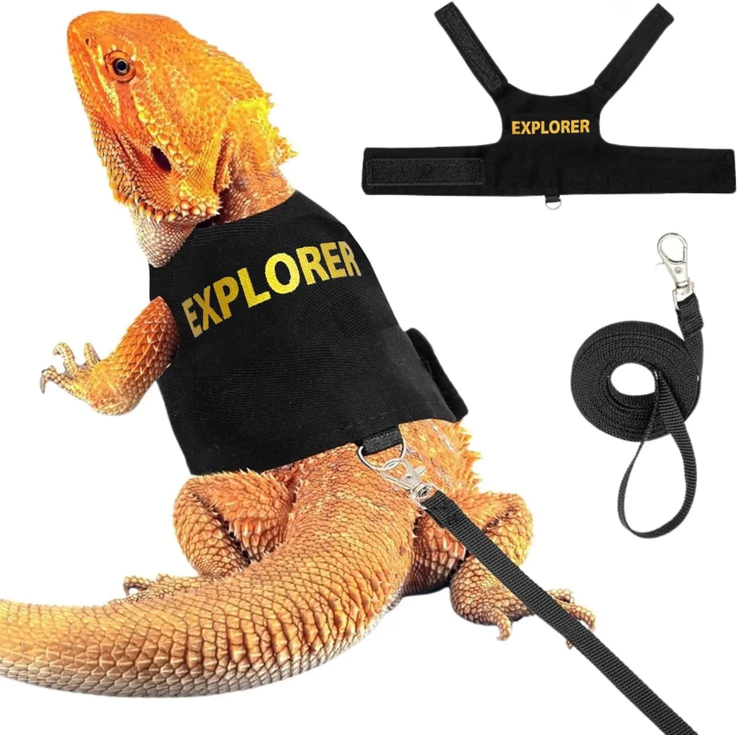 Lizard Harness with Dragon Wings – Soft Padded Reptile Vest
