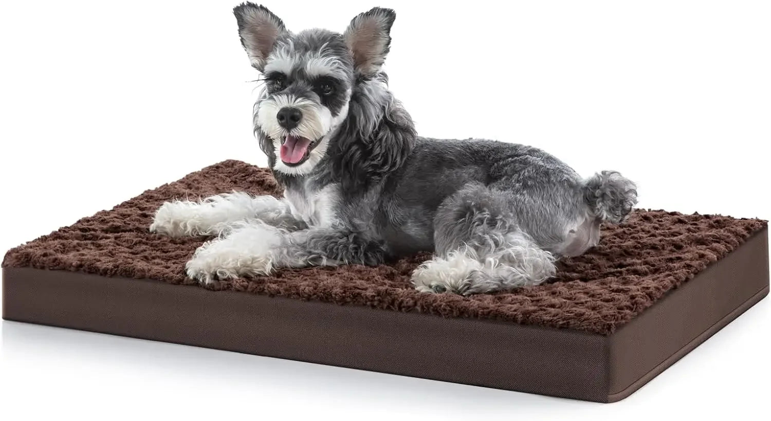Large Egg Crate Foam Dog Bed with Waterproof Cover