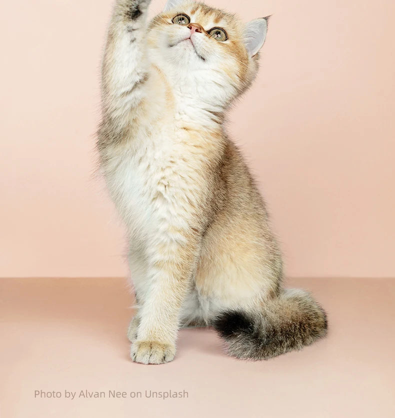 Electric Pet Groomer Trimmer – LED & Low Noise Design