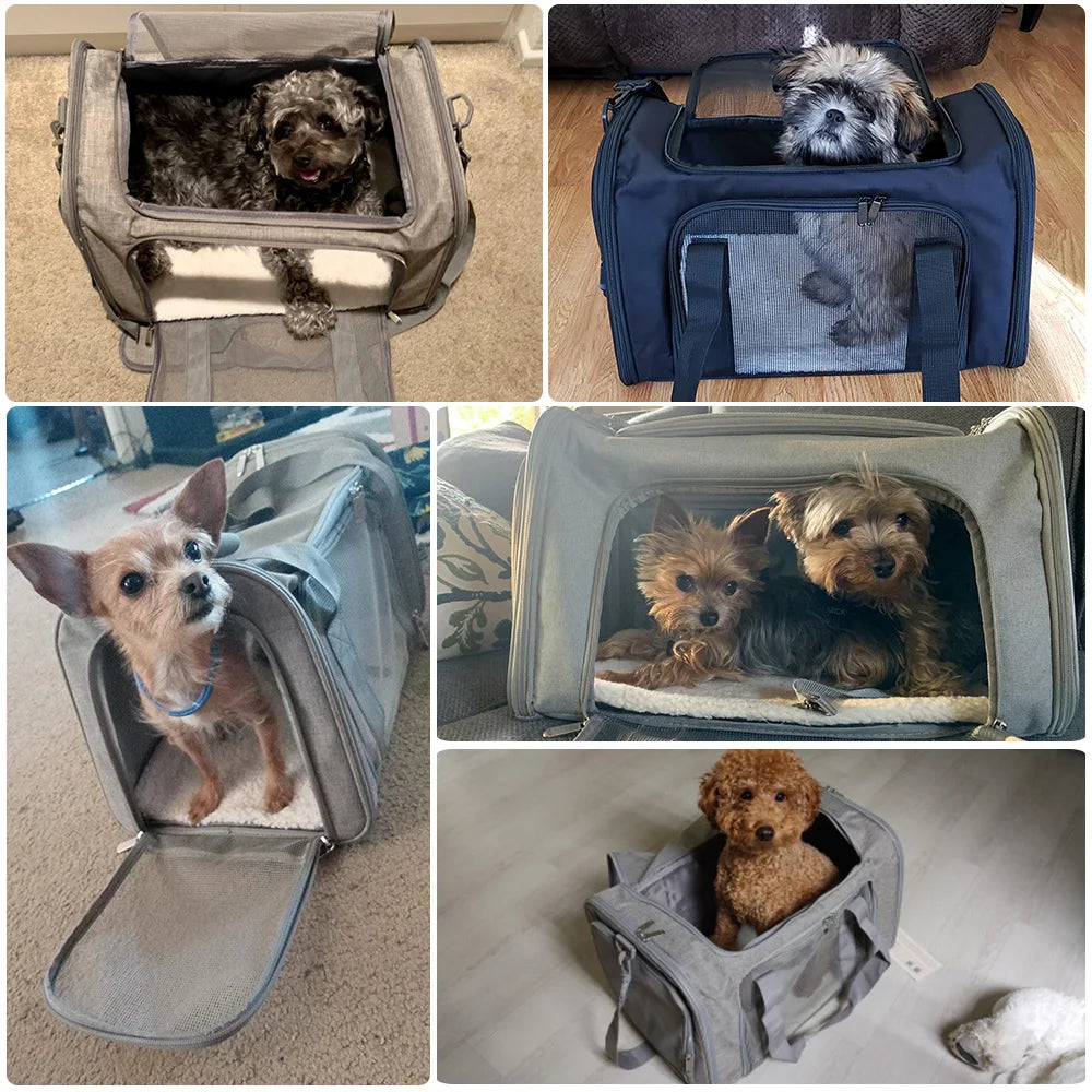Soft-Sided Airline Approved Pet Travel Backpack