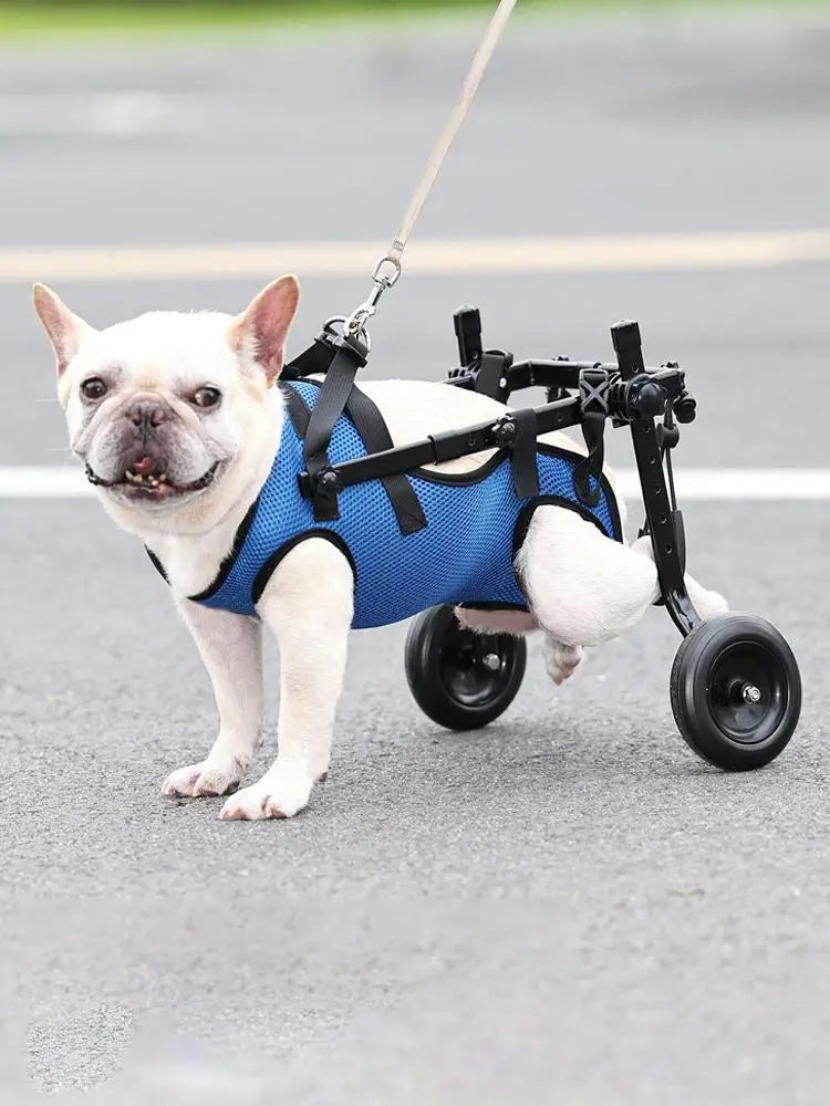 Adjustable Pet Wheelchair – Hind Leg Mobility Aid