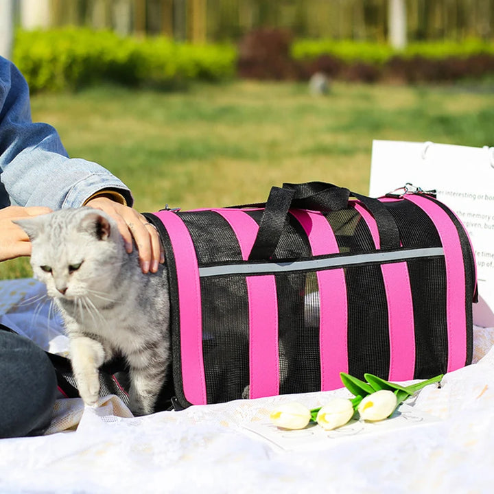 Foldable Breathable Pet Outing Handbag
