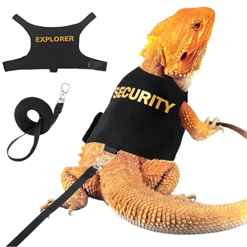 Lizard Harness with Dragon Wings – Soft Padded Reptile Vest