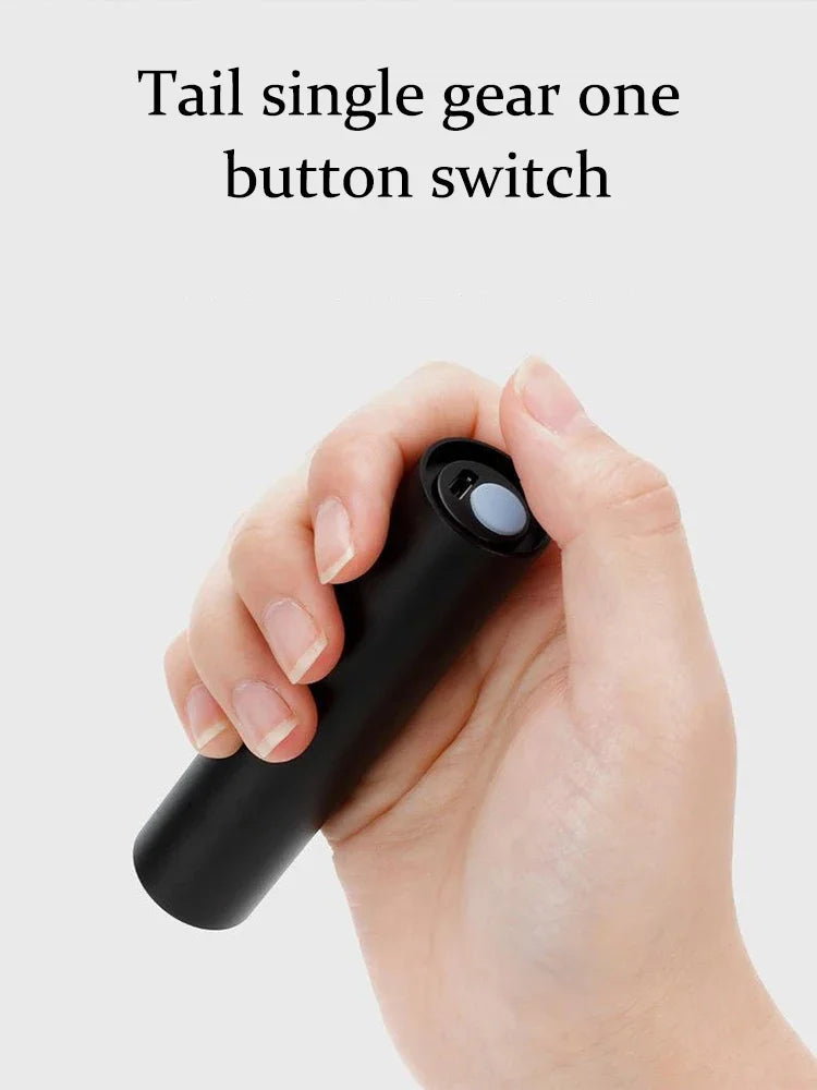 UV Pet Detection Light – Waterproof & USB Rechargeable