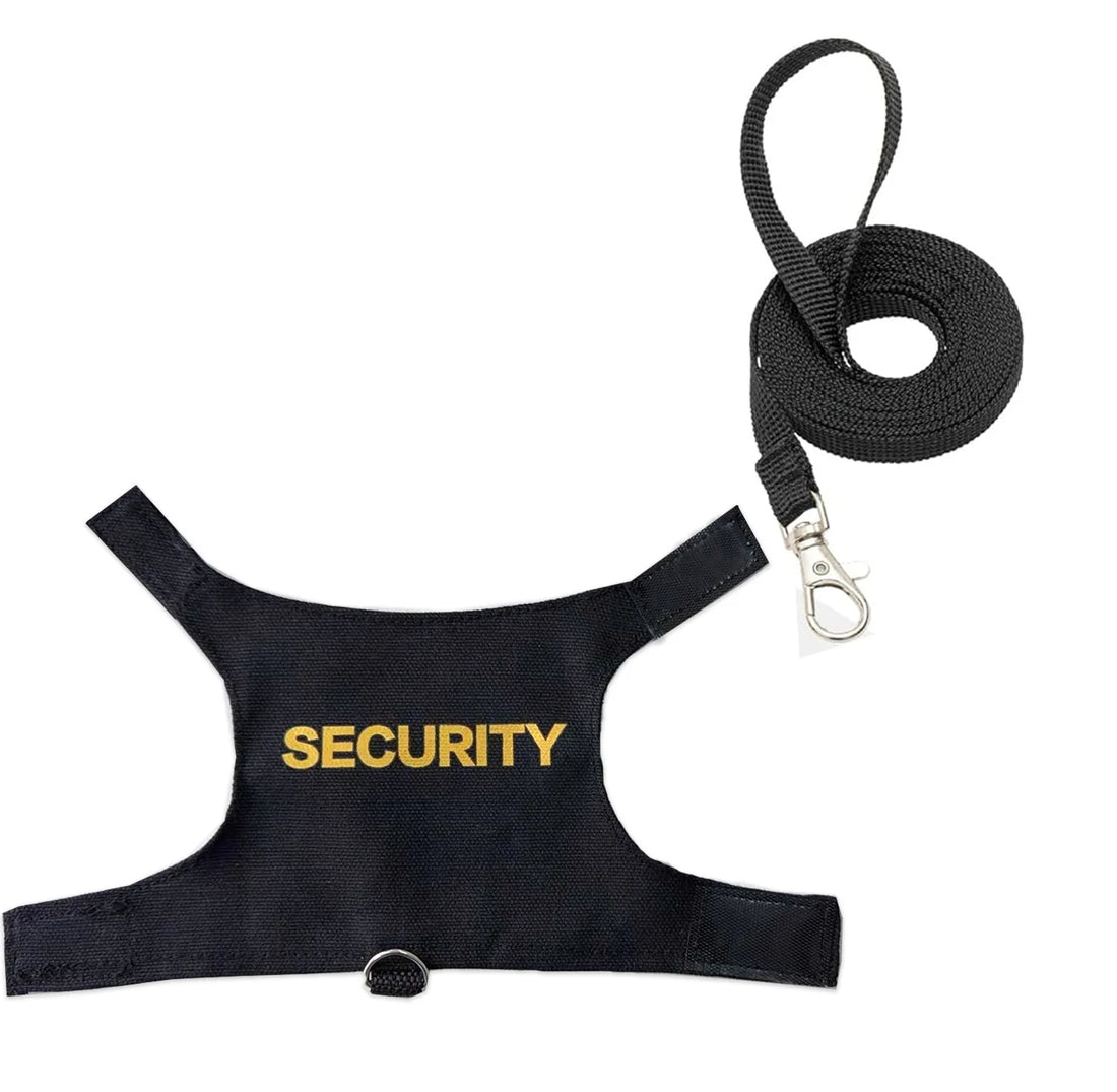 Lizard Harness with Dragon Wings – Soft Padded Reptile Vest