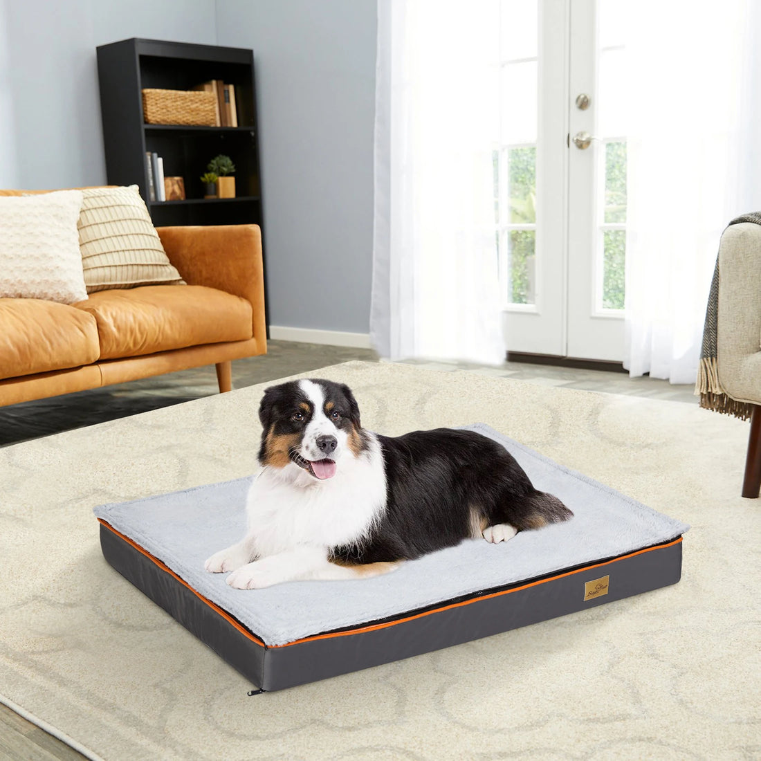 Large Orthopedic Foam Dog Bed with Washable Cover