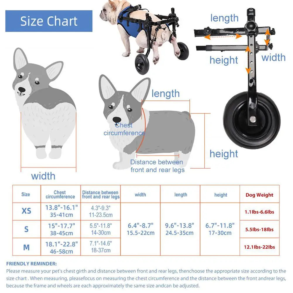 Adjustable Pet Wheelchair – Hind Leg Mobility Aid
